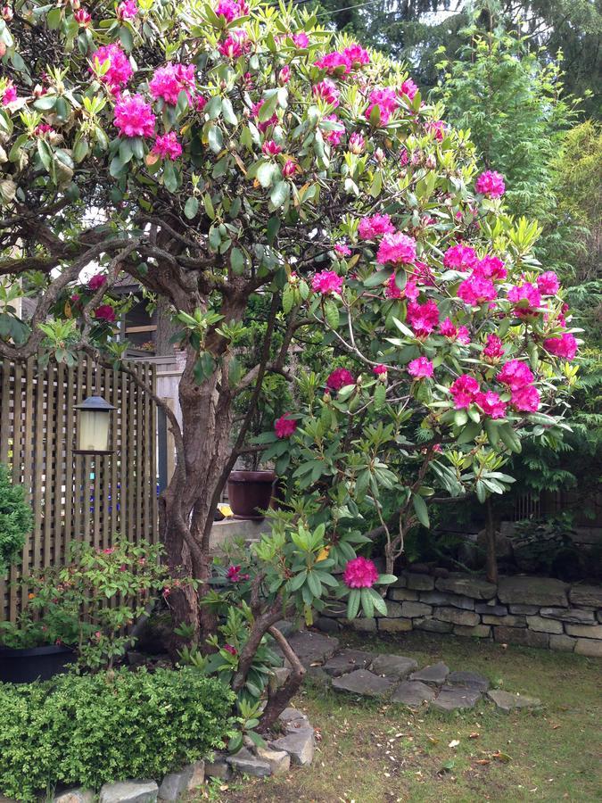 Cartier Guest House Vancouver Ngoại thất bức ảnh