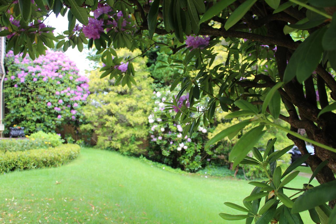 Cartier Guest House Vancouver Ngoại thất bức ảnh