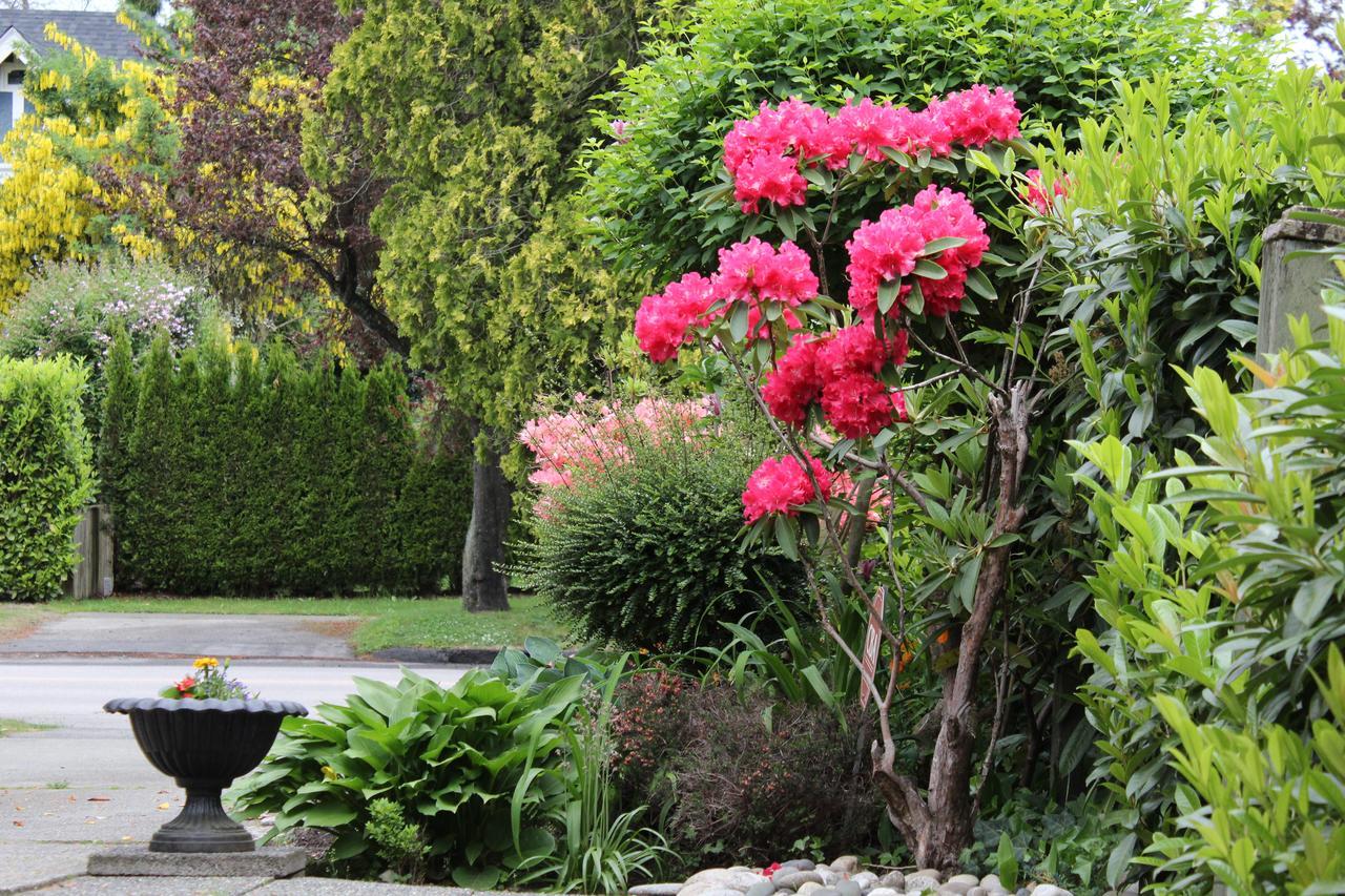 Cartier Guest House Vancouver Ngoại thất bức ảnh