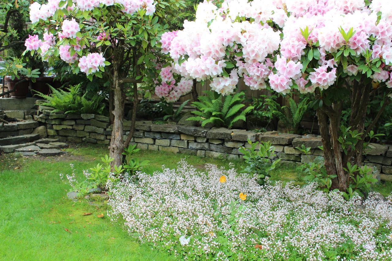 Cartier Guest House Vancouver Ngoại thất bức ảnh