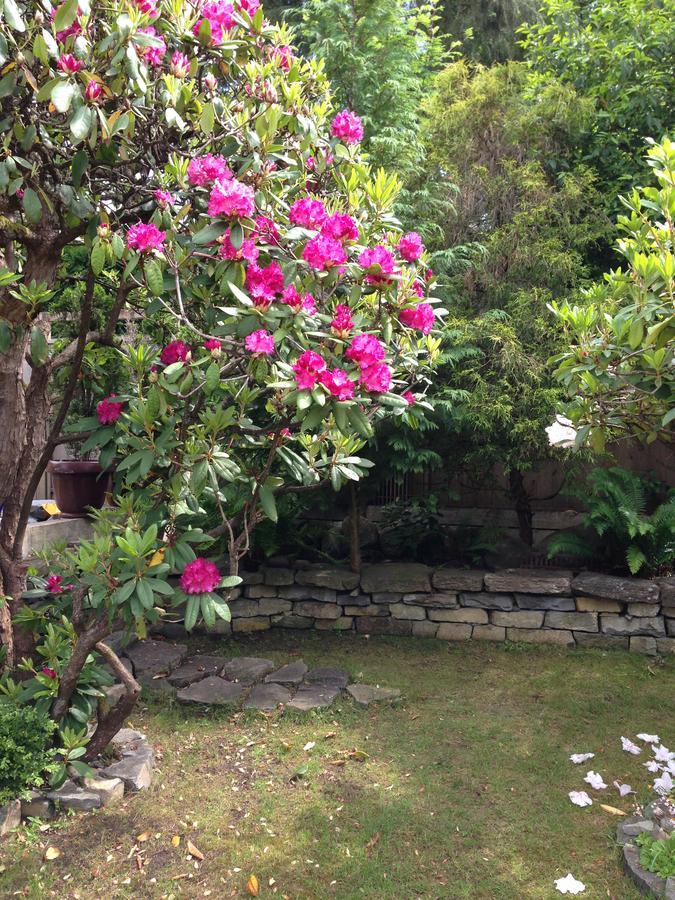 Cartier Guest House Vancouver Ngoại thất bức ảnh